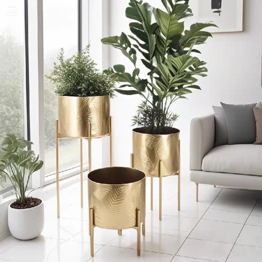 Potty pot design
