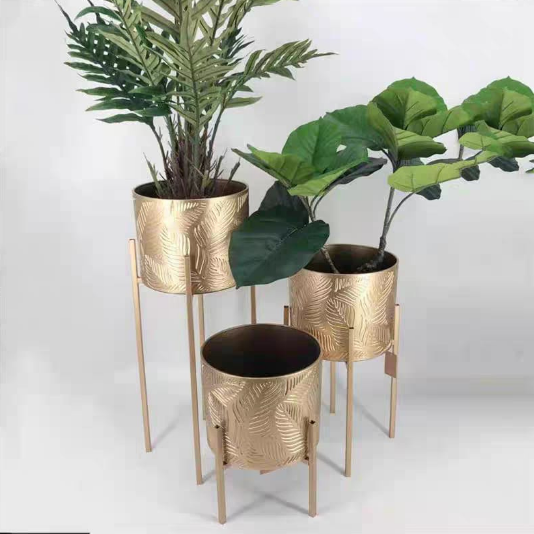 Potty pot design