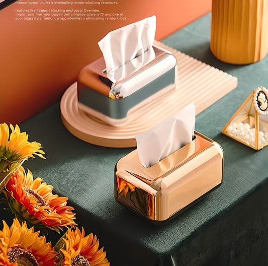 Modern Tissue Box
