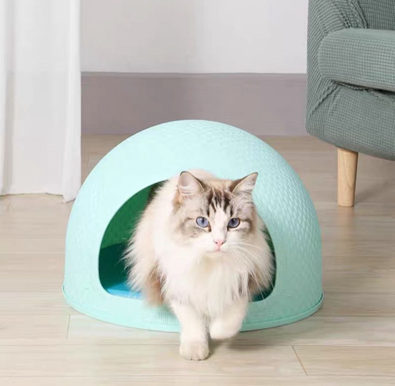 Cat Bed