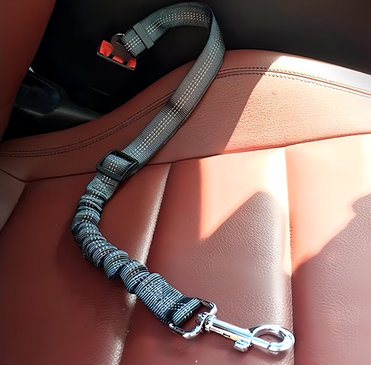 Dog Leash Seat Belt