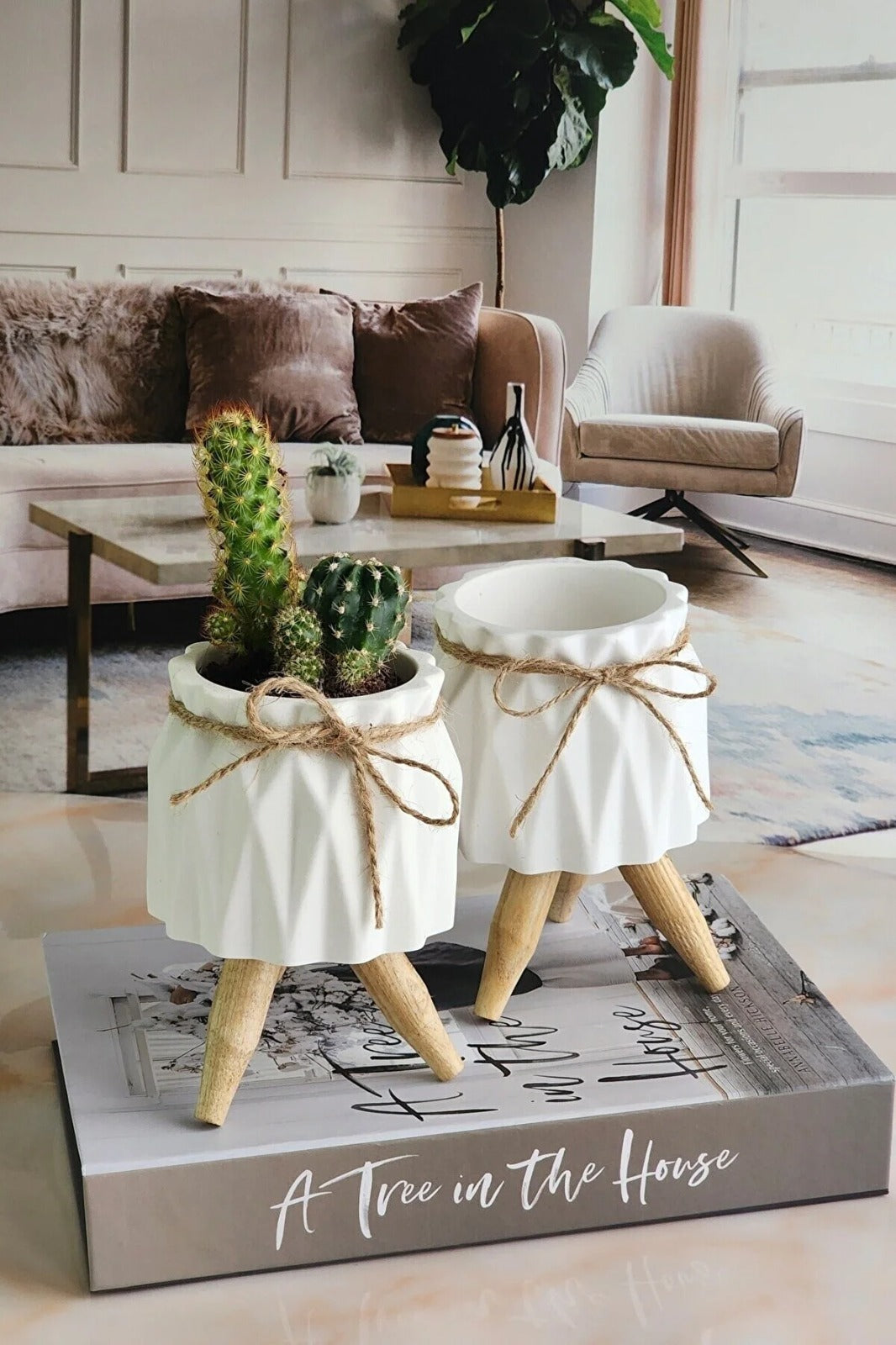 Decorative Flower Pot Concrete