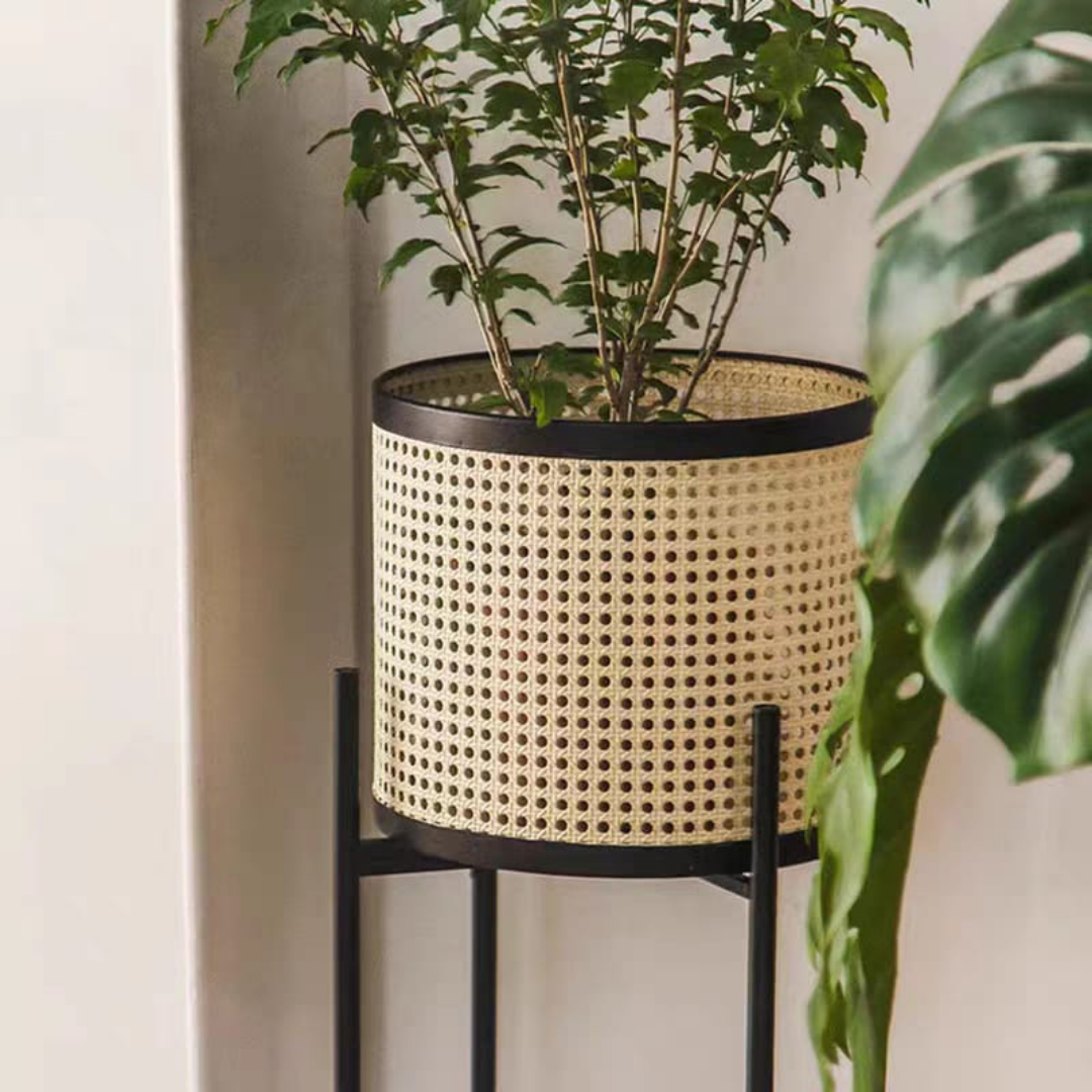 Comy pot design