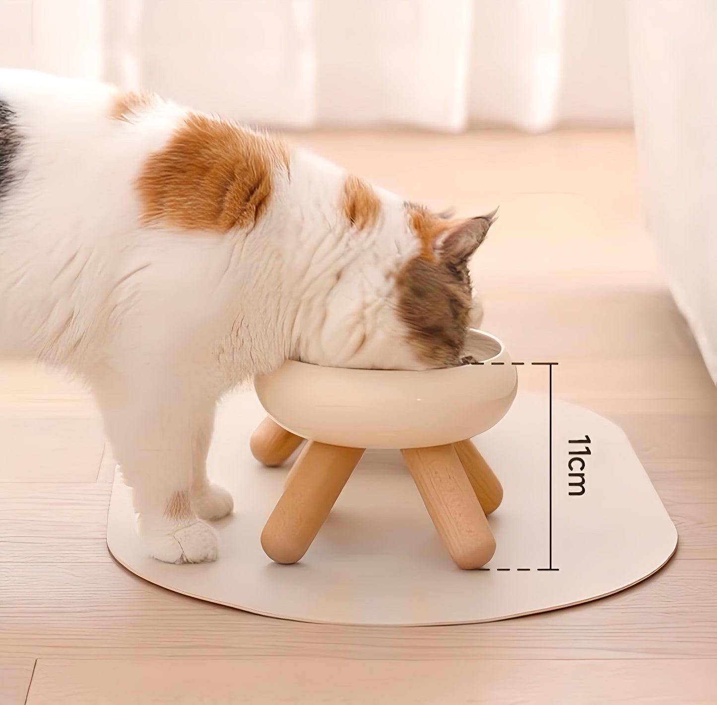 Feeding Bowl