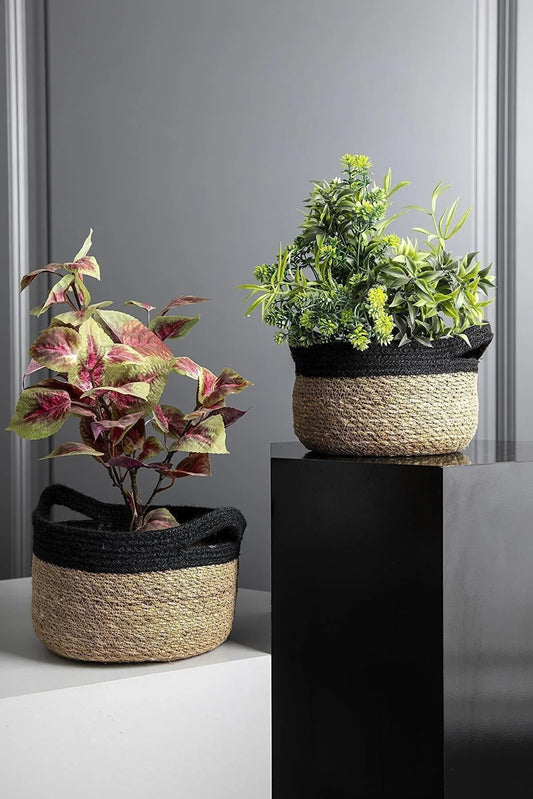 Basket Set