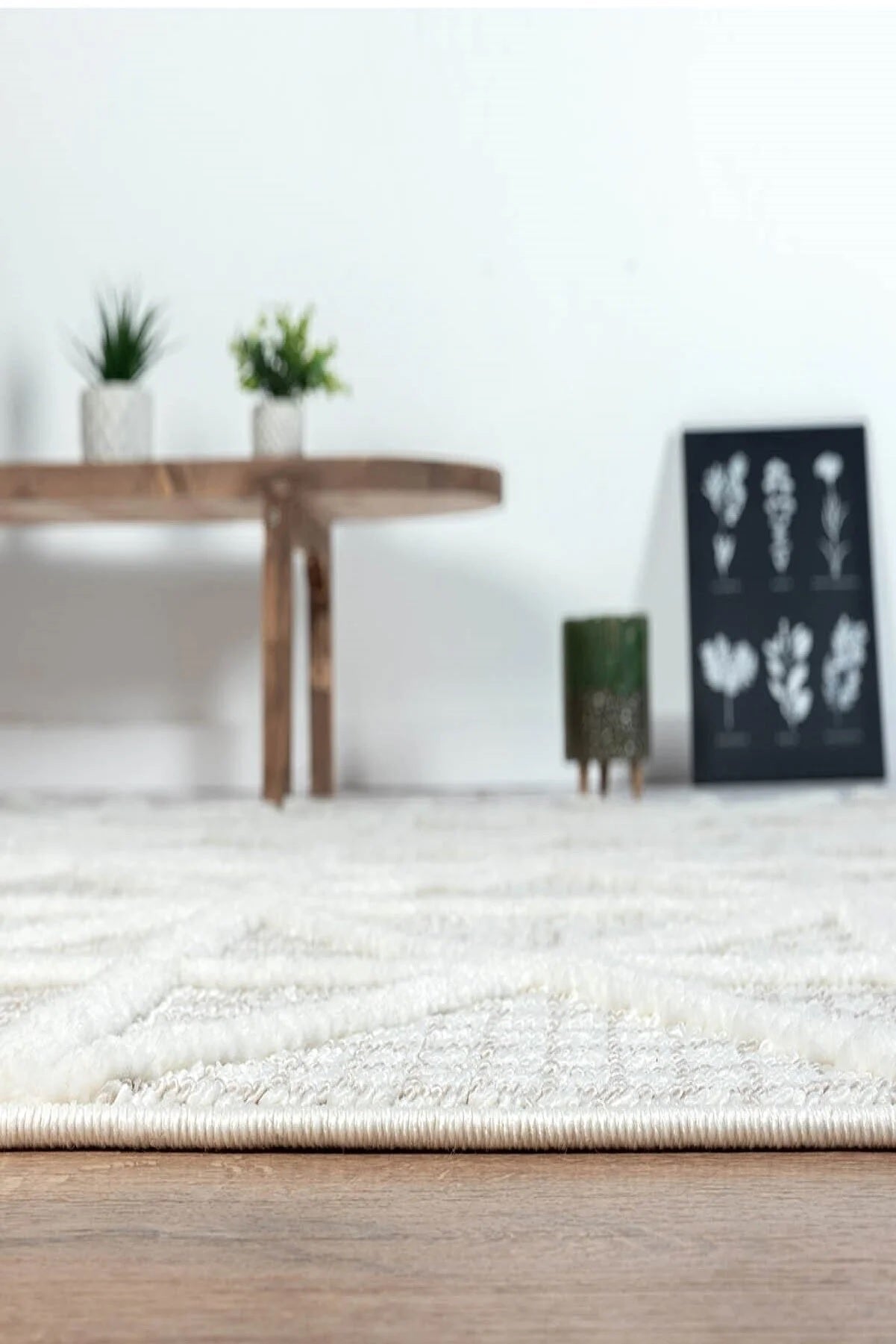Plush Carpet