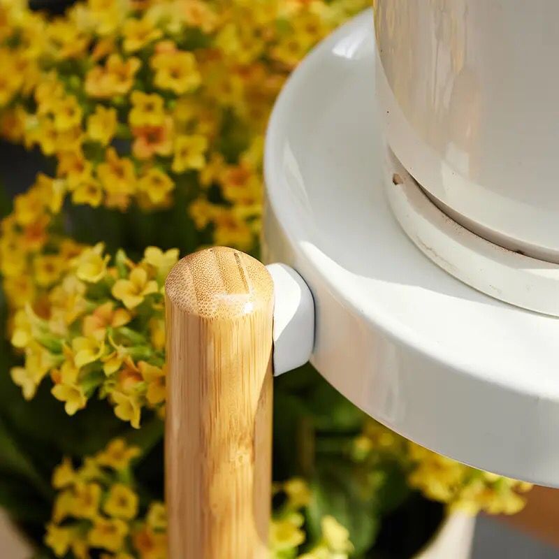 Bamboo Plants Stand