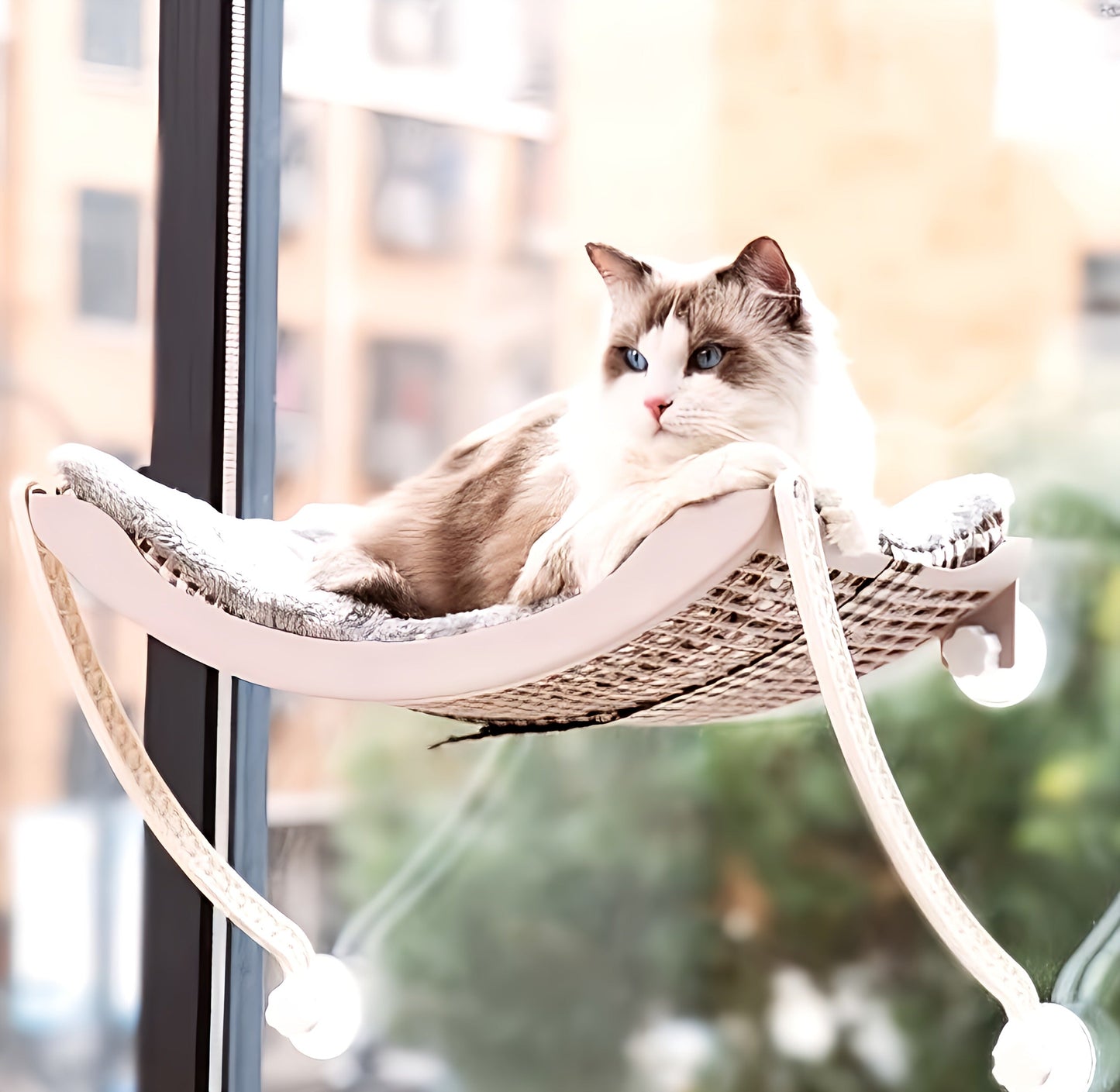 Cat Bed