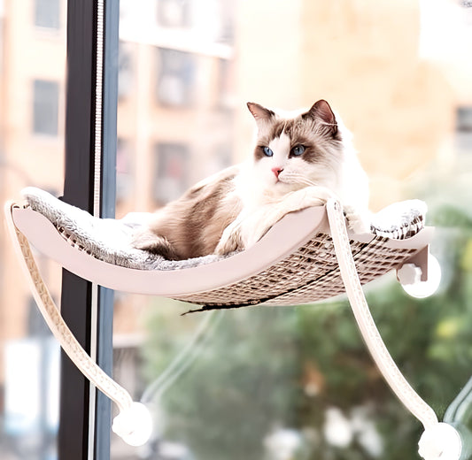 Cat Bed