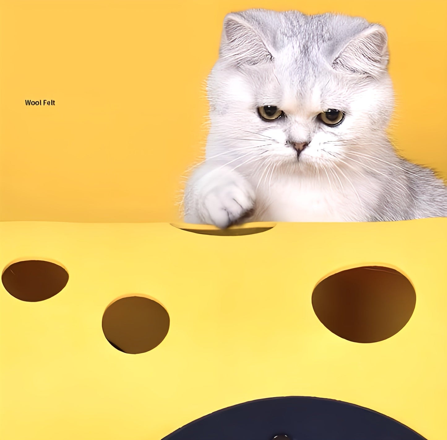 Cat’s Tunnel Game
