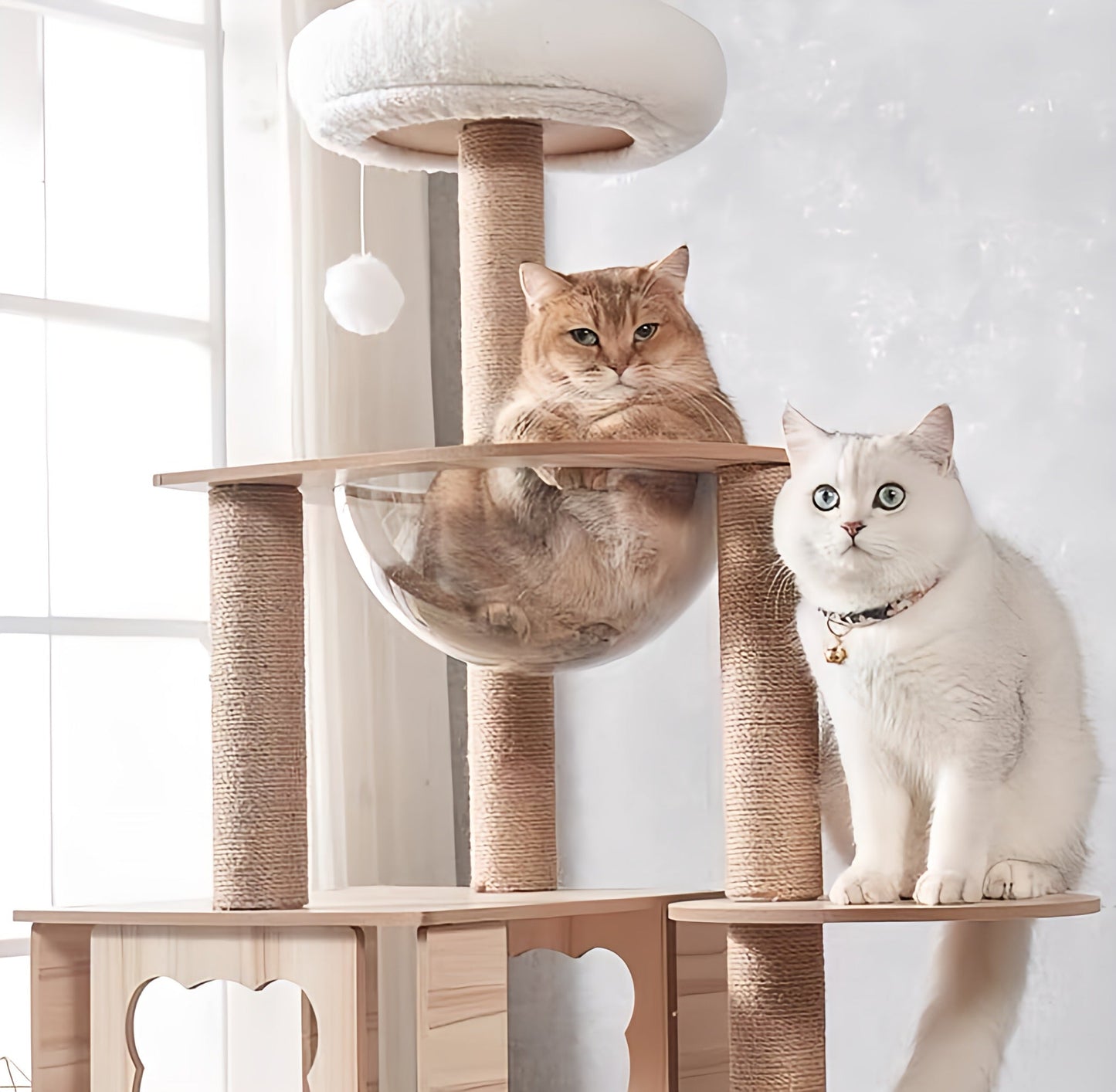 Cat Climbing Tree