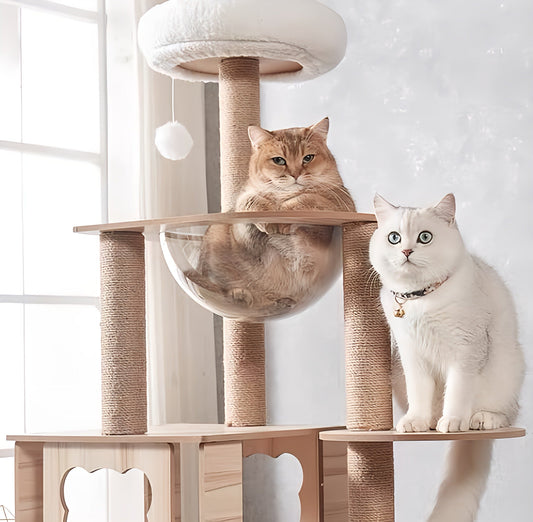 Cat Climbing Tree