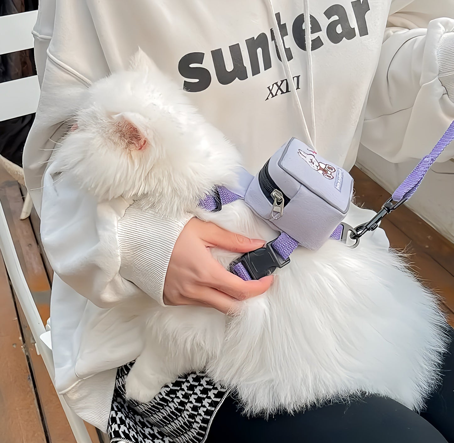 Pet Leash with Backpack