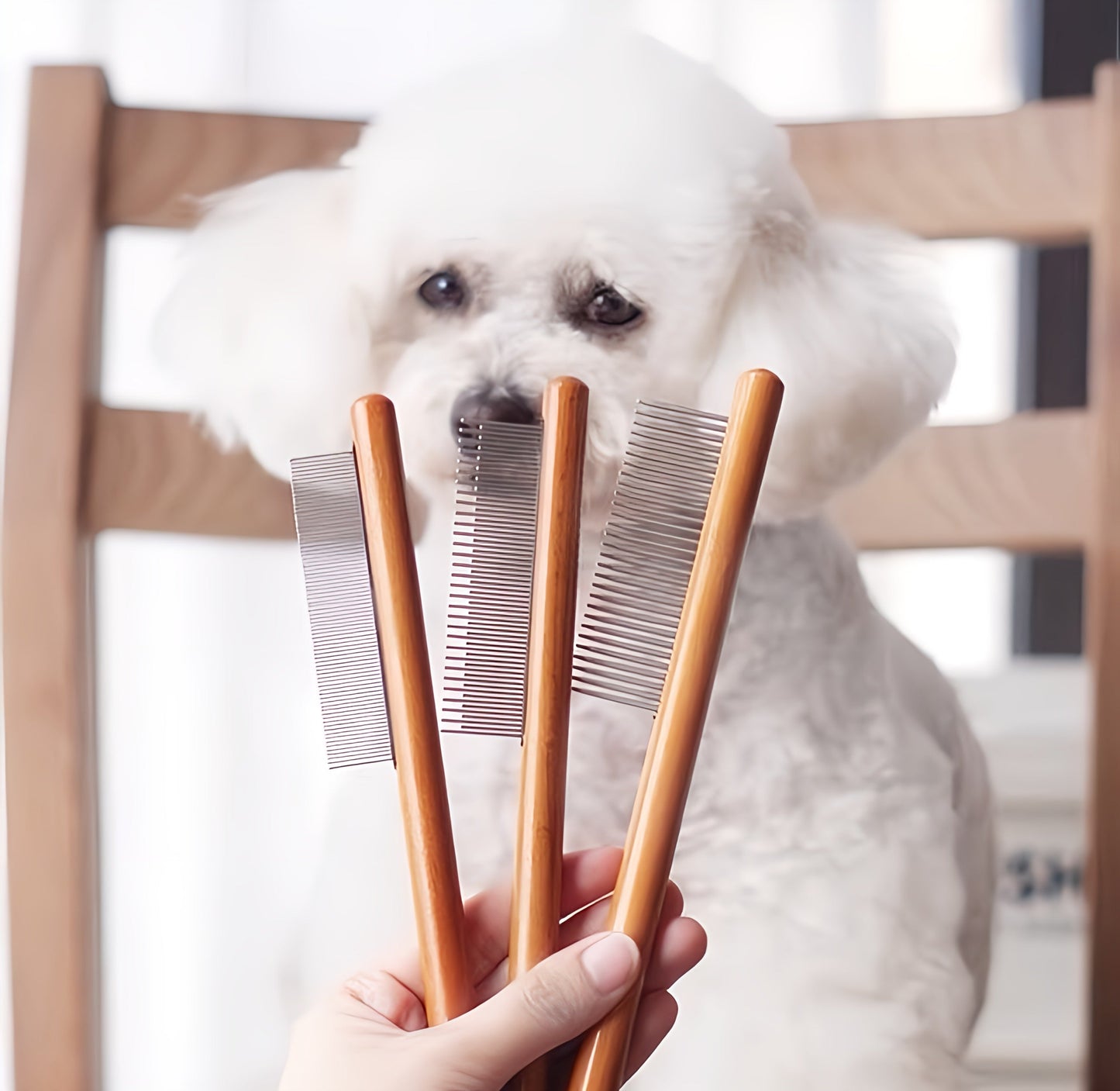 Pet Comb