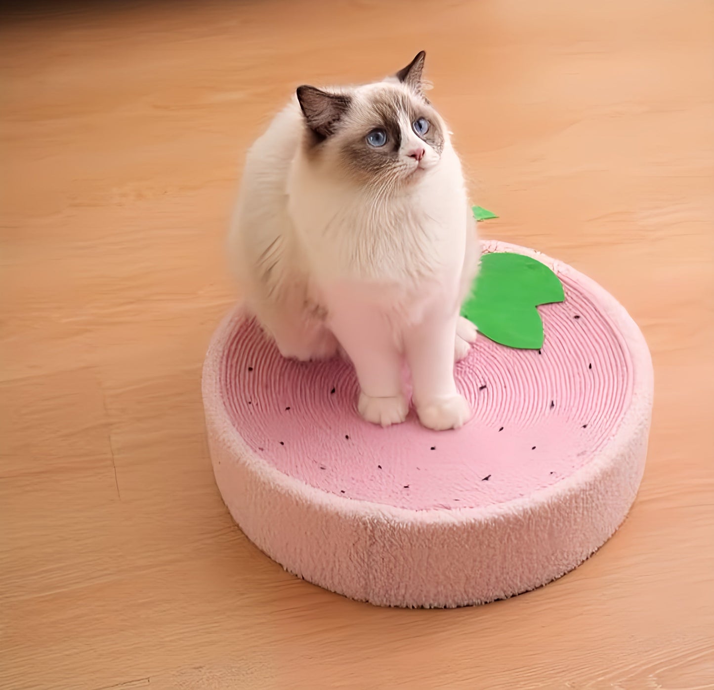 Cat Scratching Bed