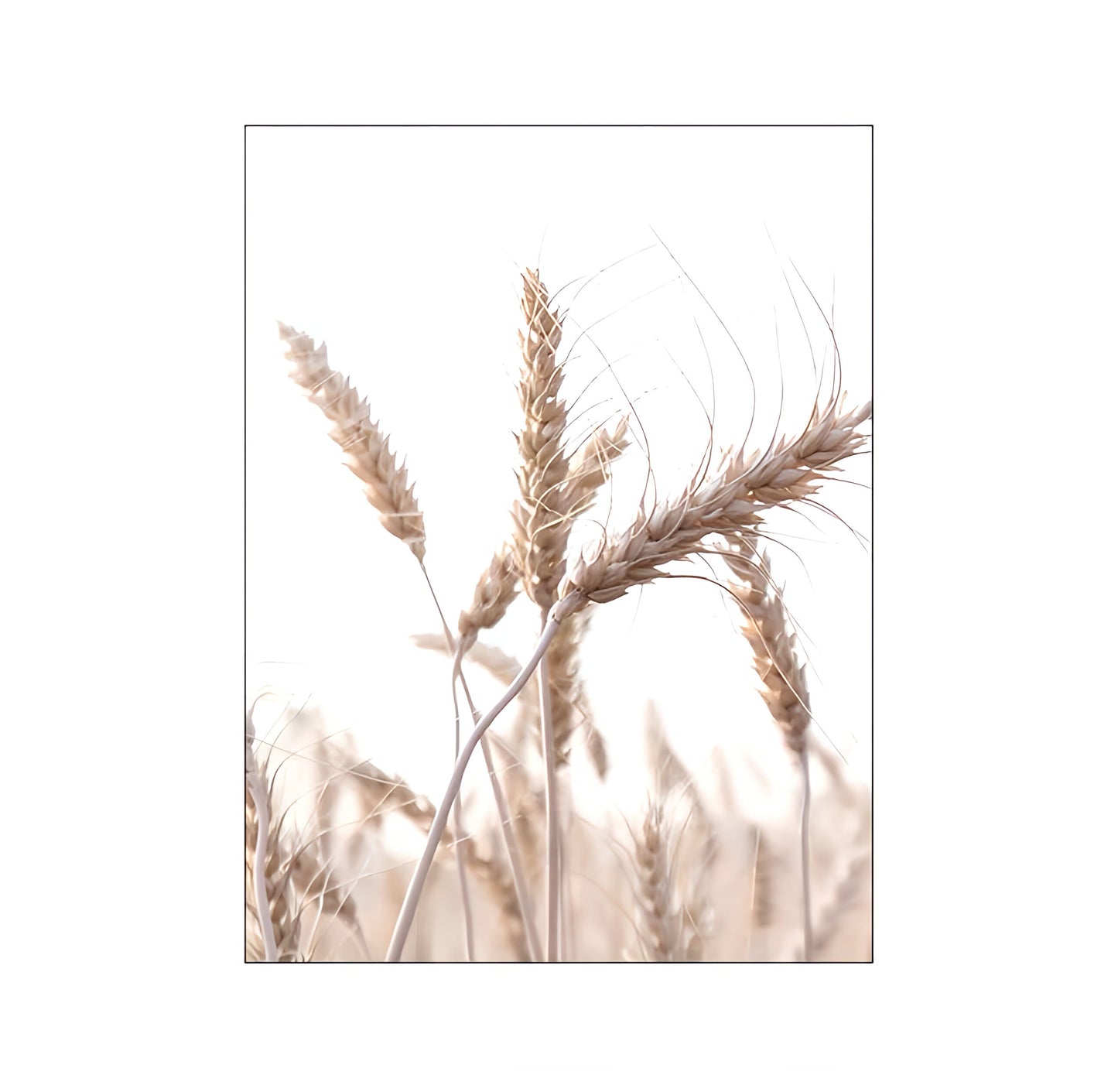 Nature Scenery Wall Art