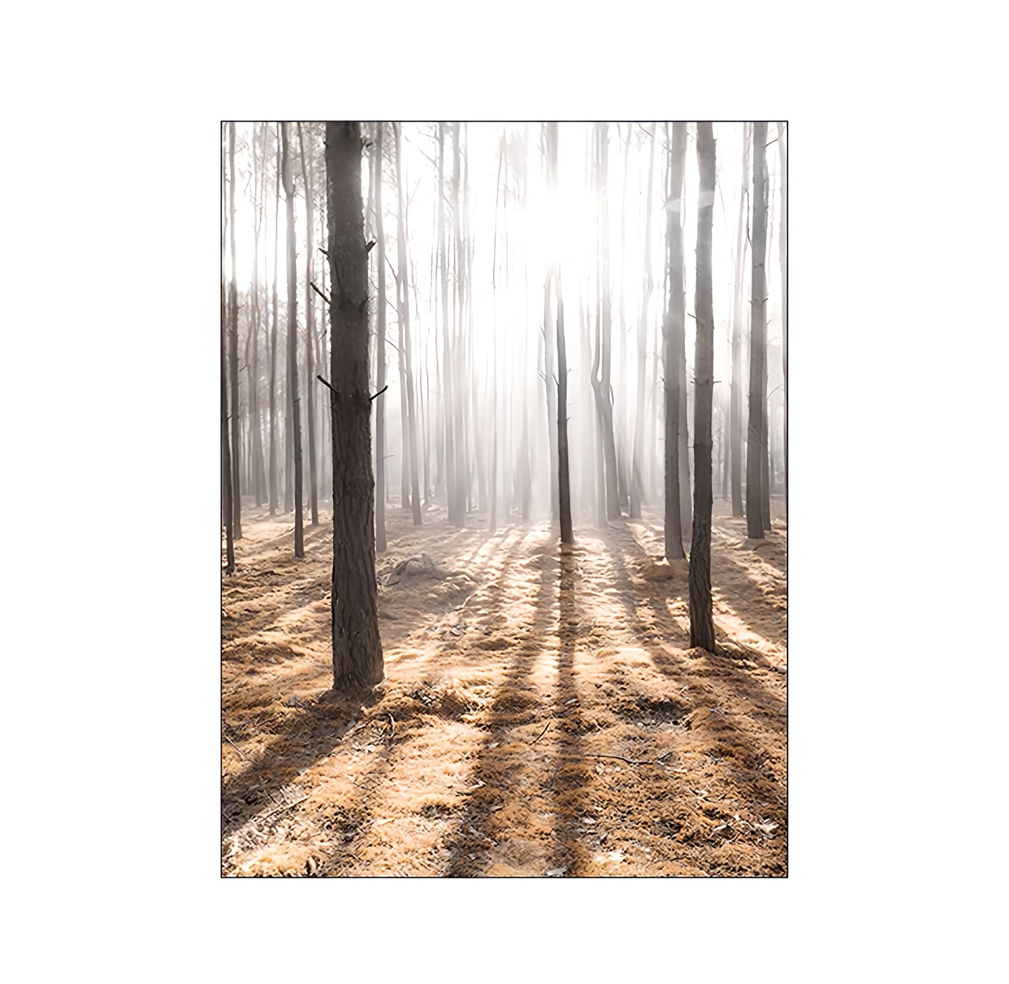 Nature Scenery Wall Art