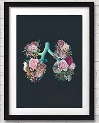 Anatomy Art Canvas Painting
