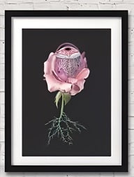 Anatomy Art Canvas Painting